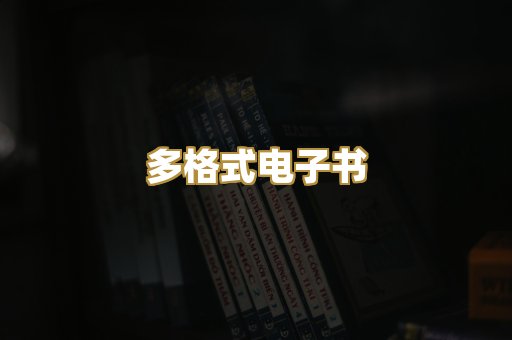 多格式电子书